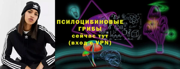дживик Алексин