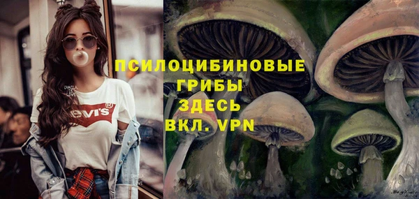 твердый Алексеевка