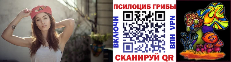 купить закладку  нарко площадка какой сайт  Псилоцибиновые грибы Psilocybine cubensis  Алексеевка 